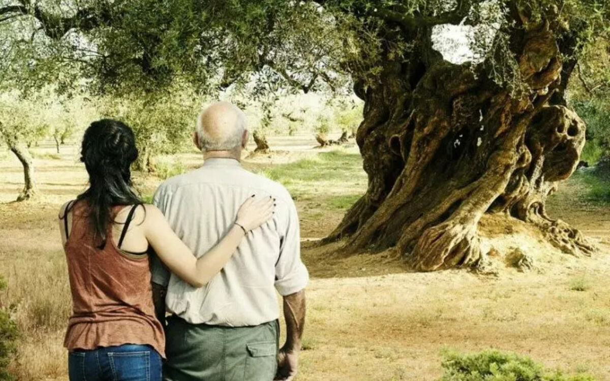 El Olivo 01 768x1087 jpg